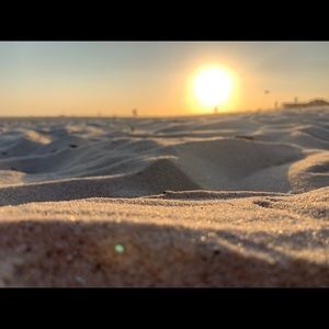 Meet your Posher, Regina